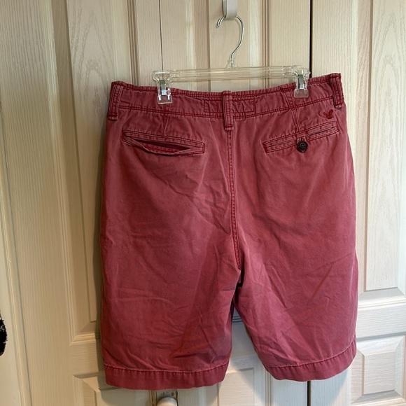 American Eagle Outfutters Mens Rust Color Shorts Size 36 - Picture 6 of 7